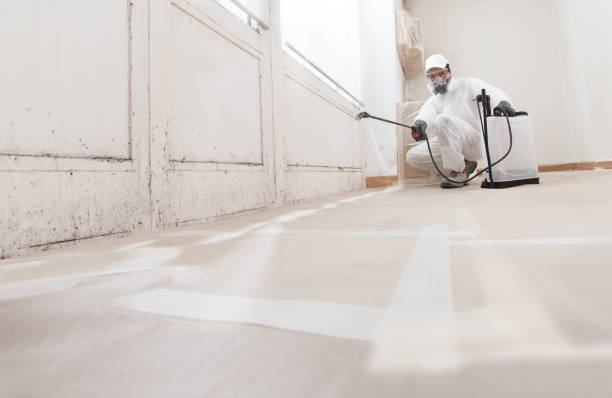 24/7 Emergency Mold Inspection experts in Yorktown, TX